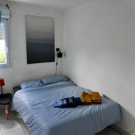 T2 Lumineux Et Piscine * Montpellier